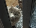 Ural glamp: отзыв от Олеся Олесик