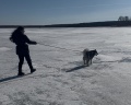 Хаски хаус: отзыв от Кристина Шаленкова