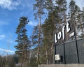 Loft №12: отзыв от Ирина Лазутина