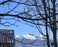 Hills Polyana hotel&SPA: отзыв от Анастасия Лих