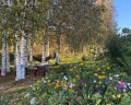 Усадьба Порфирьевых: отзыв от Карина Макаревич