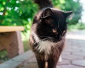 Старица: отзыв от Евгений Ильин
