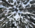 Шалаш: отзыв от Фаина Кадырова