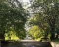 Лесная сказка: отзыв от татьяна старостина (панина)