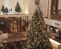 Cosmos Collection Altay Resort: отзыв от Владимир Прохоренко