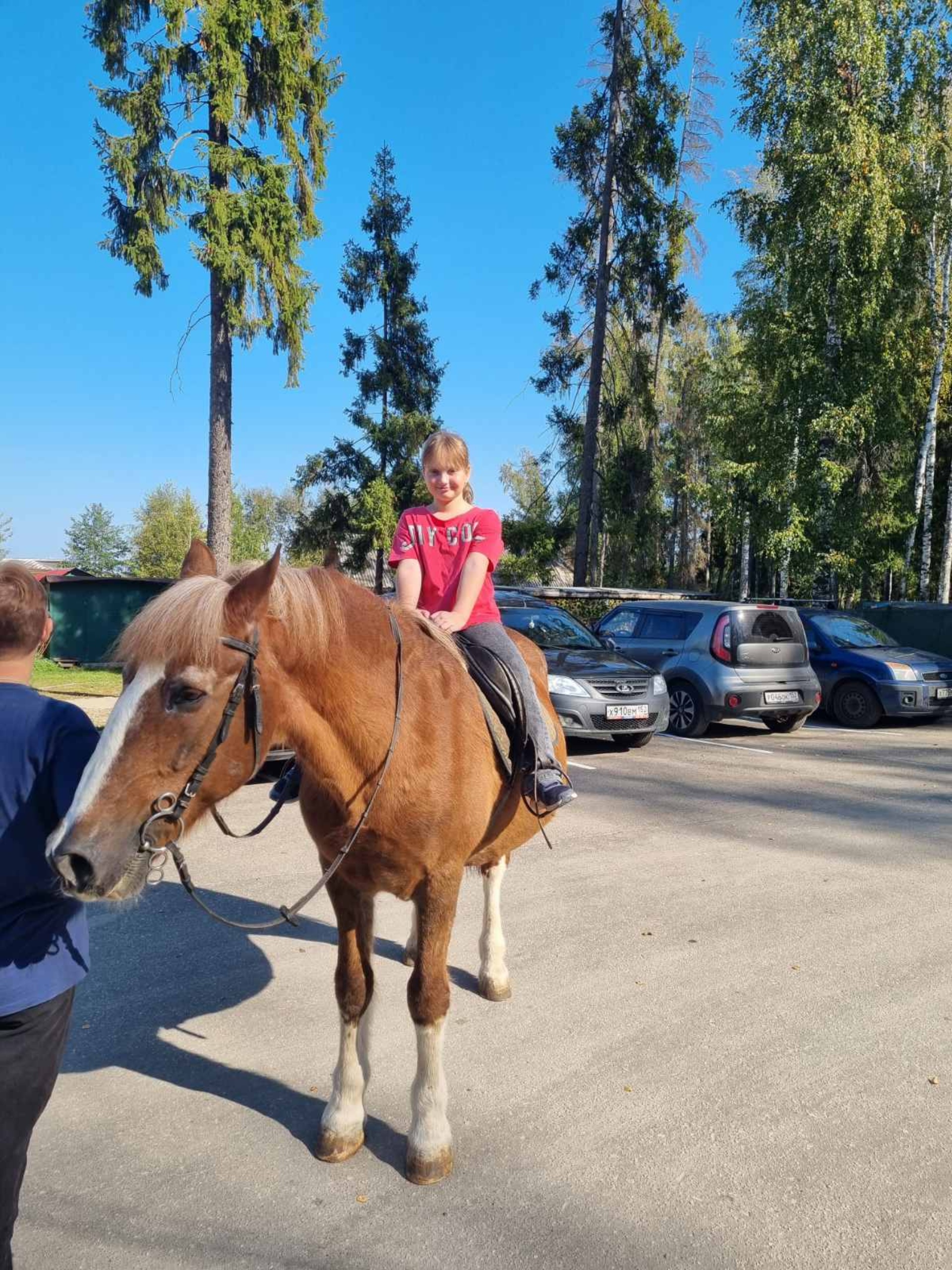 Лагуна Юг, представительство в городе, Малая Покровская, 4, Нижний Новгород  — 2ГИС