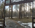 Тишина: отзыв от Рина Зайч