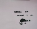 Добрый кот: отзыв от Юлия Путилова