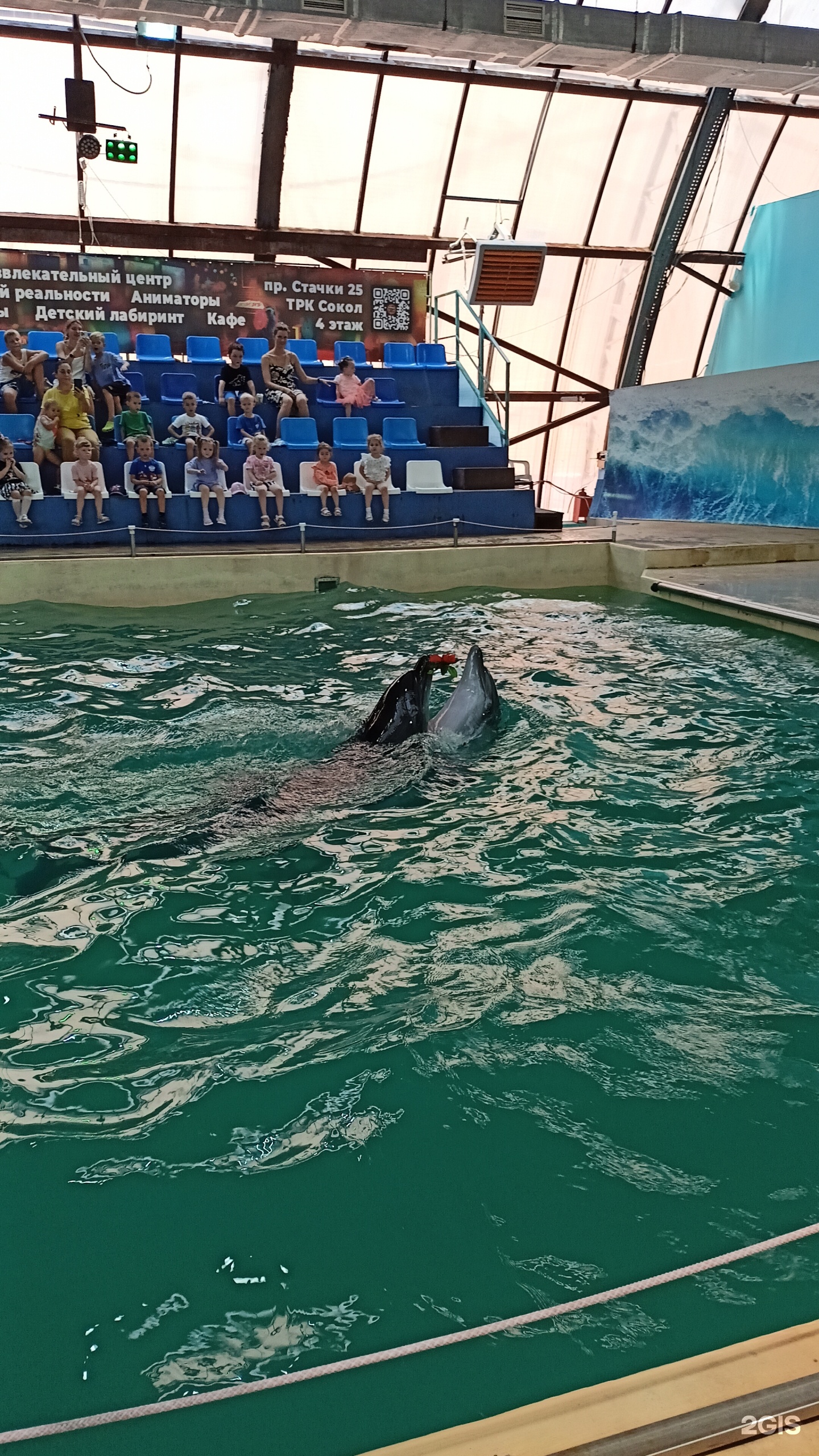 Дельфинарий, ICE ARENA, Коммунистический проспект, 36/4, Ростов-на-Дону —  2ГИС