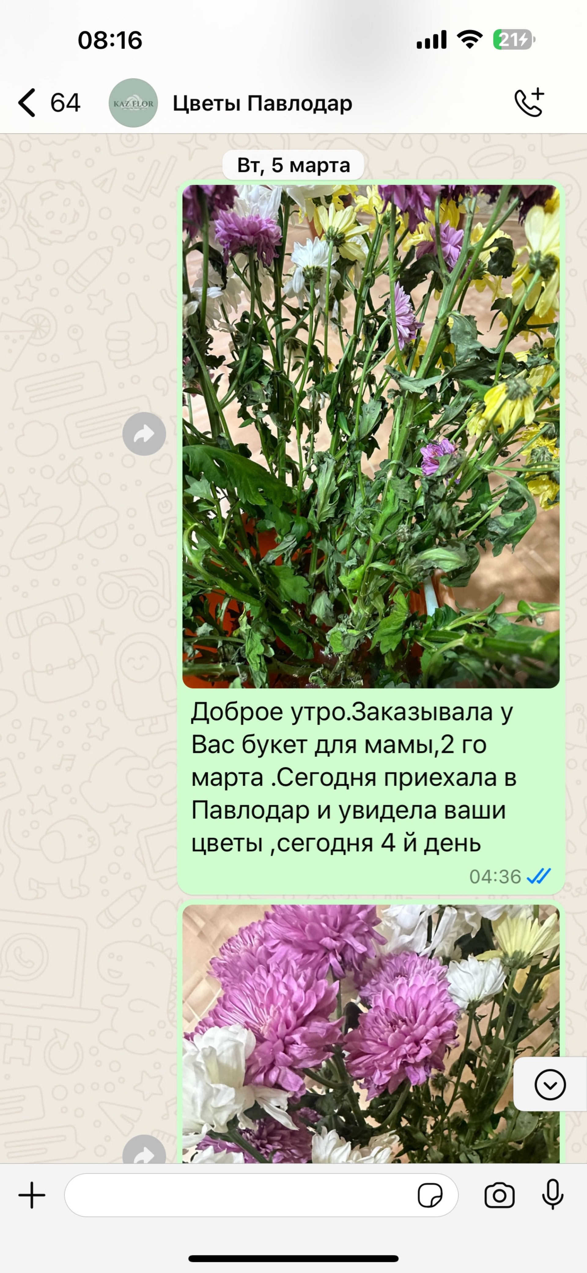 Kaz Flor, Павлодарский филиал, улица Маяковского, 9, Павлодар — 2ГИС