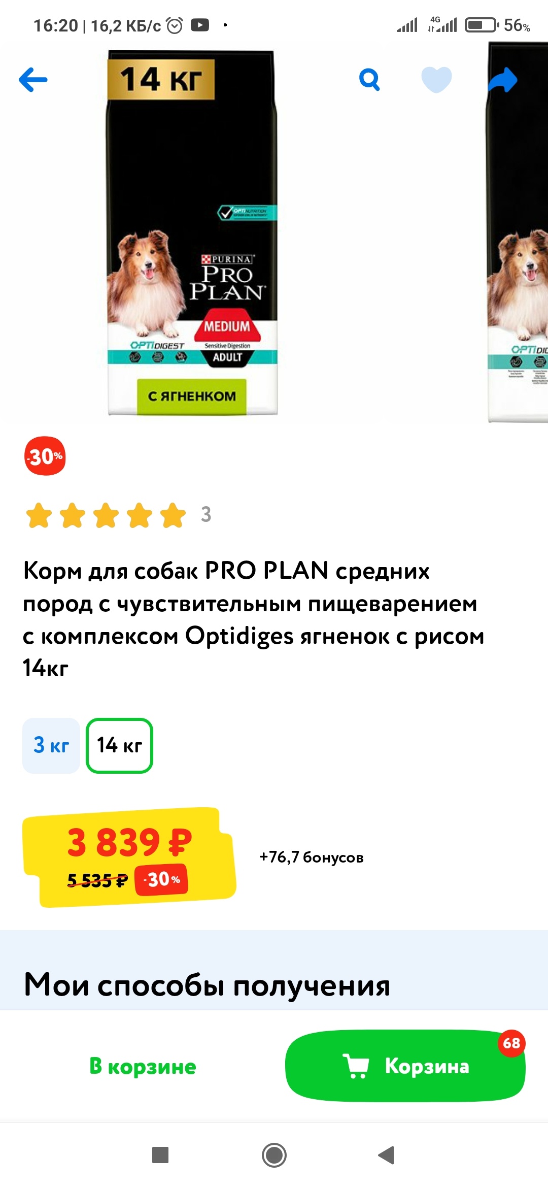 Зоозавр, зоомагазин, Jam Молл, улица Горького, 5а, Киров — 2ГИС