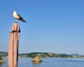Между небом и морем: отзыв от Яна Шабакина