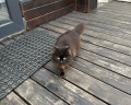 Friends House: отзыв от Евгения Картавенко