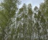 База отдыха: отзыв от Виктория Елпанова