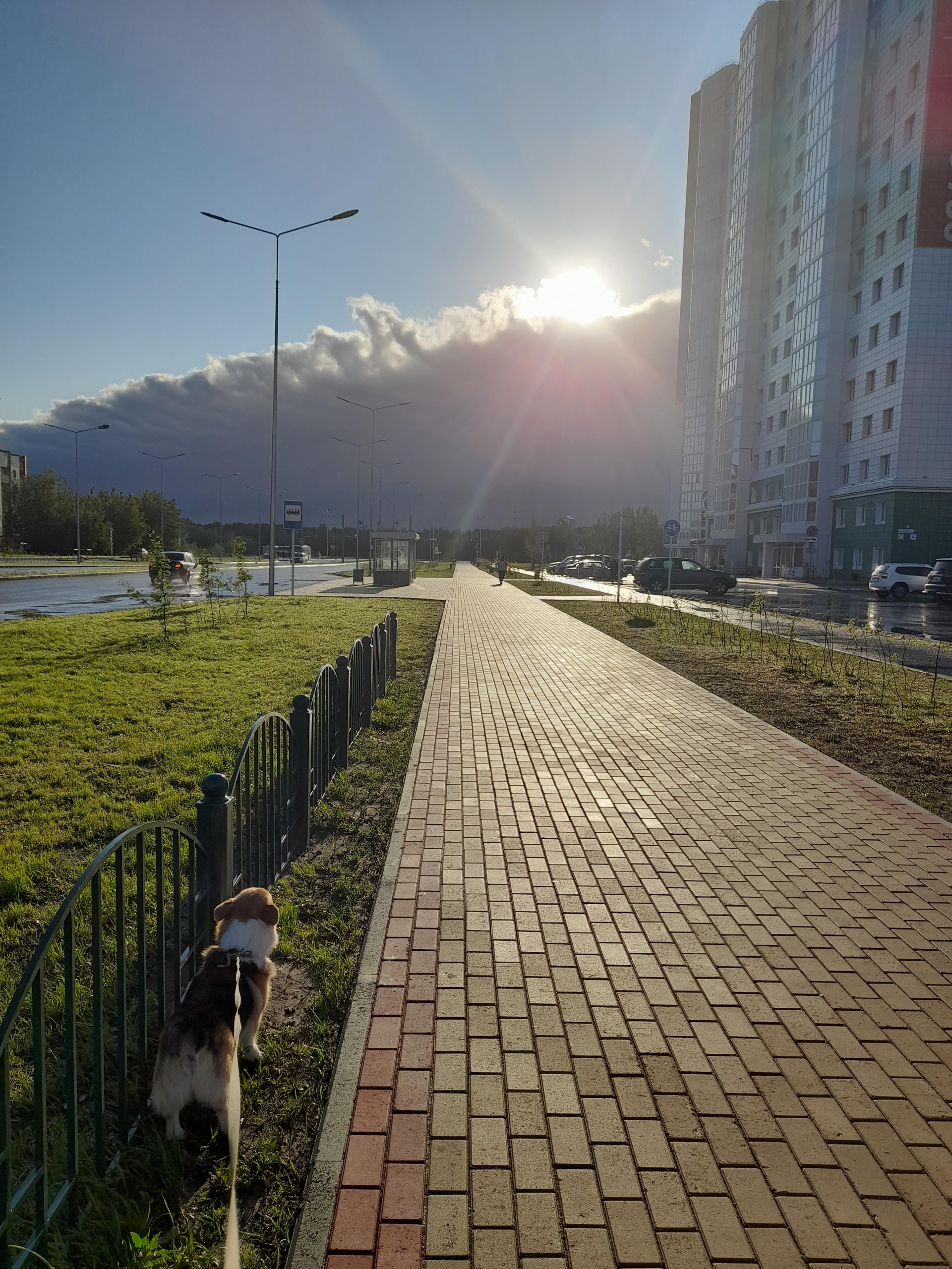 На Сайме, жилой комплекс, набережная Ивана Кайдалова, 20, Сургут — 2ГИС