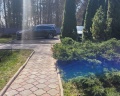 Грин стар: отзыв от Городская легенда