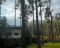 Wood park: отзыв от Владислав
