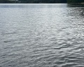 Soulcamp: отзыв от Анастасия Кириченко