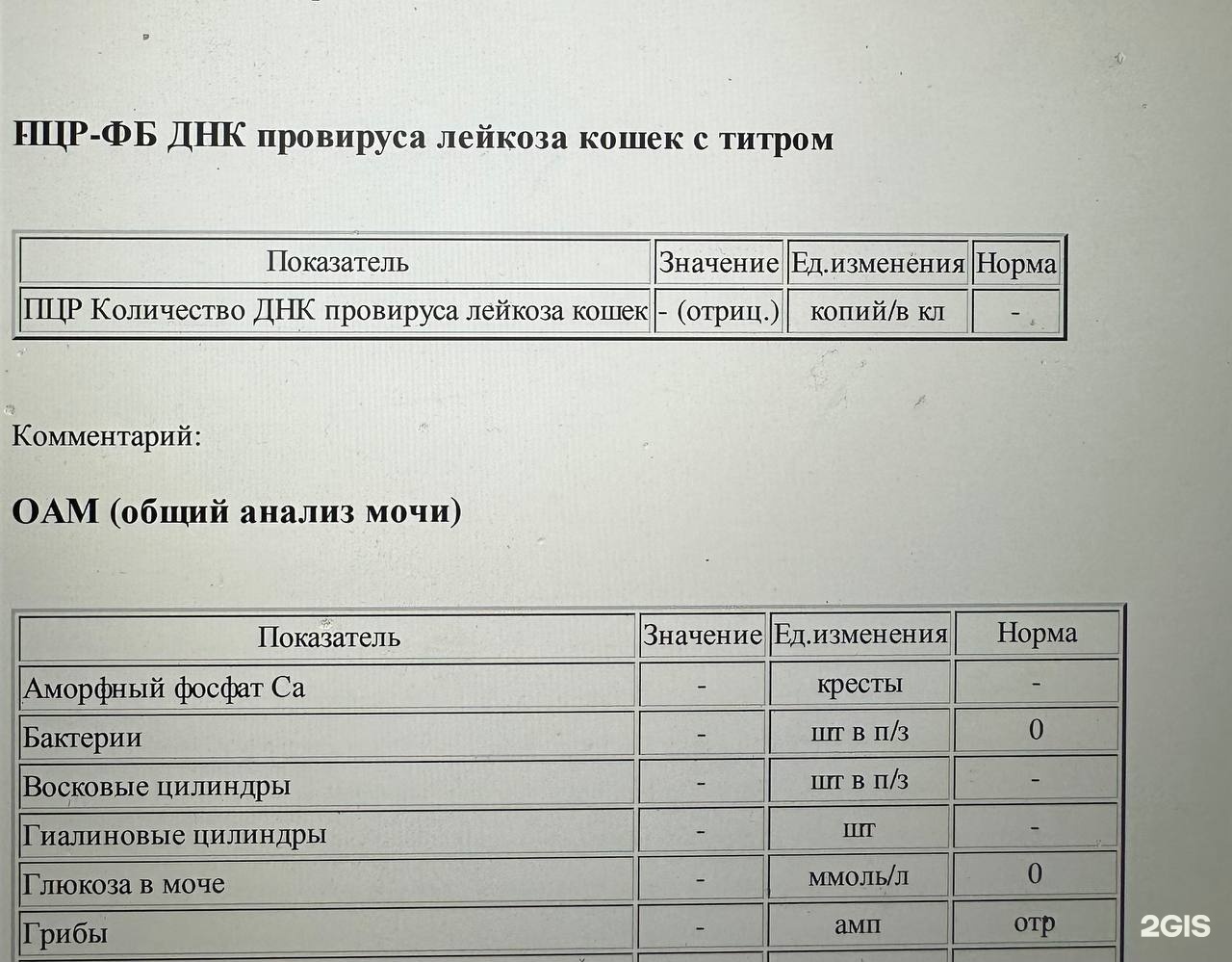 Эверест, ветеринарная клиника, Сельская, 2/1, Воронеж — 2ГИС