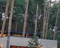 Pioneer Resort Hotel: отзыв от Ирина Тагирова
