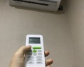 Лето: отзыв от Линя .
