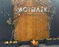 Мотылёк: отзыв от Татьяна Никифорова