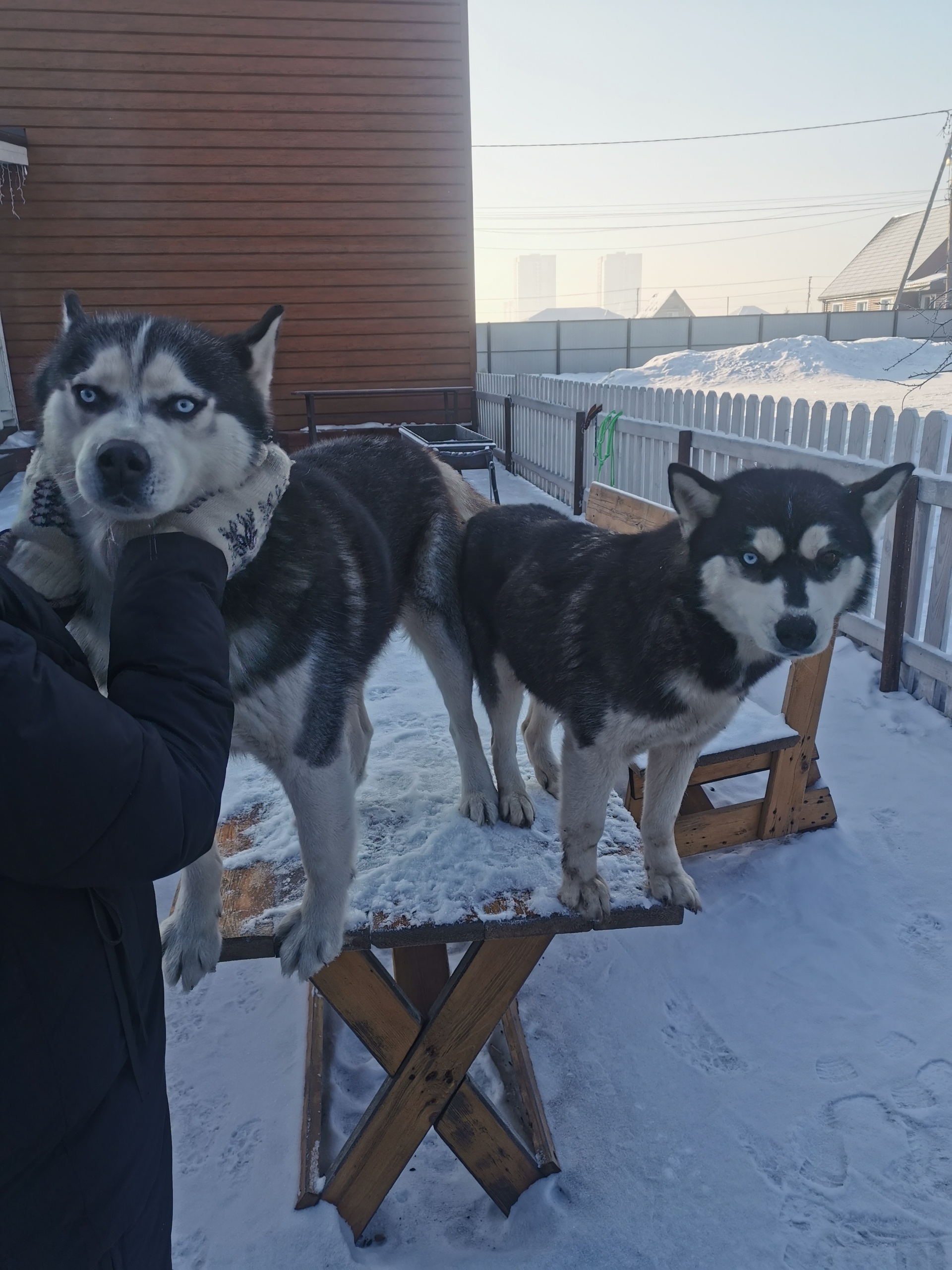 Аляска, загородный клуб, улица Полярная, 1, Красноярск — 2ГИС