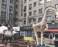 Центральная: отзыв от Zima