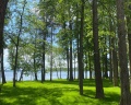 Istra Magic Club: отзыв от Инна Б