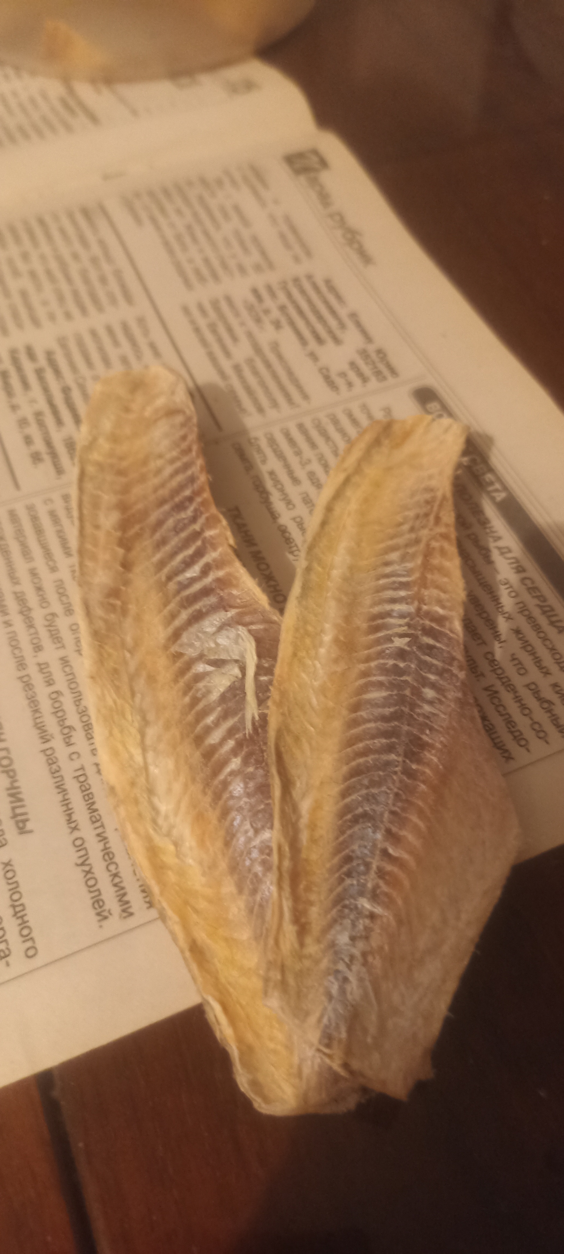 Сексуалды ақ трусикидегі порнографиялық балапандардың фотолары Жалаңаш жас ұлдар