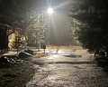 Елочка: отзыв от Ариша Петрова