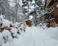 Тайга house: отзыв от Алена Галенкевич