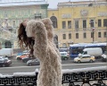 Premiere hotel: отзыв от Karina Volkova
