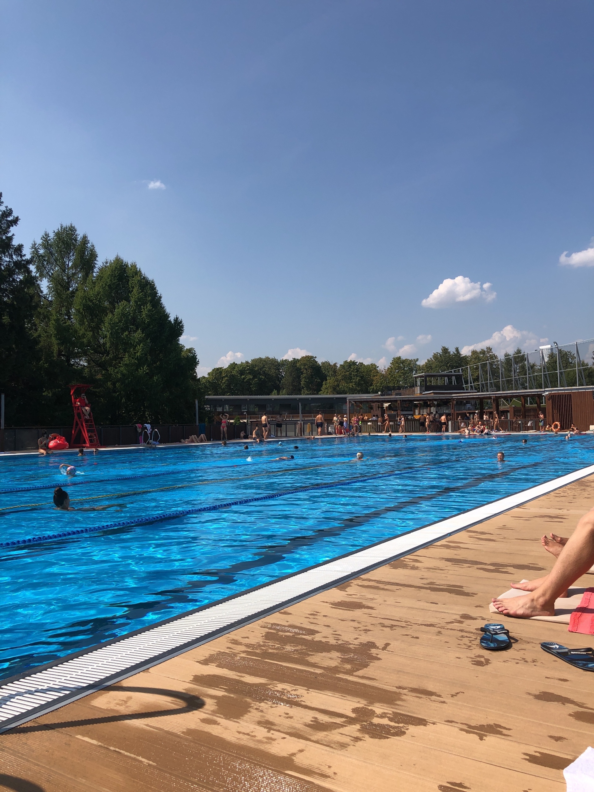 Лужники, открытый плавательный комплекс, СК Лужники, Москва, Москва — 2ГИС