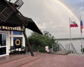Подсолнух: отзыв от Анастасия К