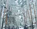 Карельская: отзыв от Елена Крайнова