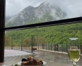 Forrest terrace: отзыв от Александр Владыка