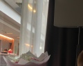 DoubleTree by Hilton Moscow-Vnukovo Airport: отзыв от Ариана Богатова