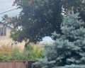 Аврора: отзыв от Анна Молоканова