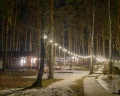 Etnica: отзыв от Евгения С.
