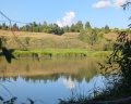 Шышки: отзыв от Юлия К.