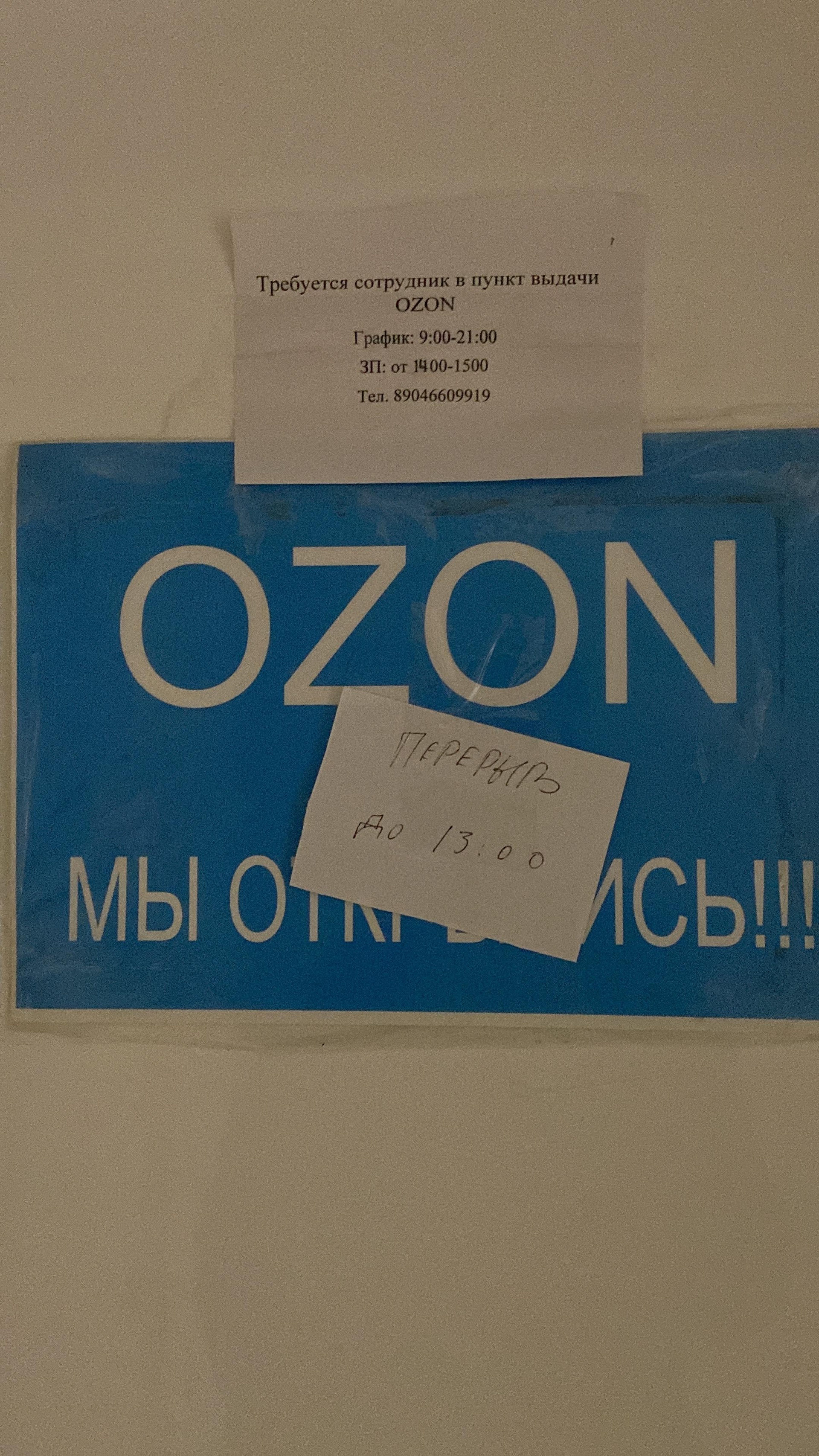 Ozon, улица Бойничная, 5, Казань — 2ГИС