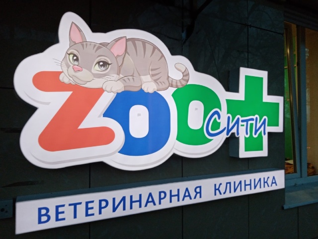 Зоосити работа. Зоосити работа