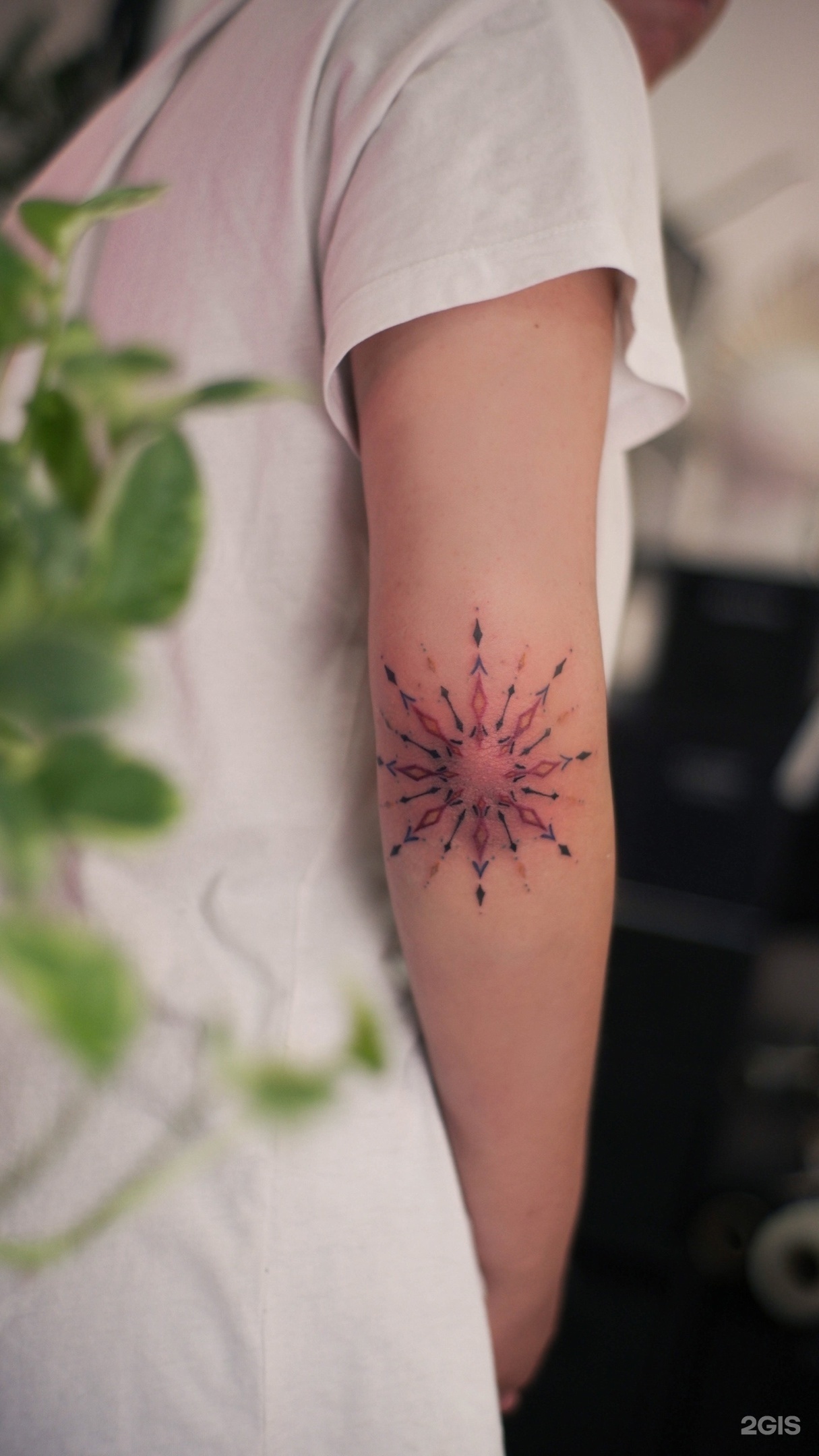 Datura tattoo, тату-студия, Свердлова, 26Б/1, Иркутск — 2ГИС