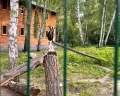 Теремки: отзыв от Ирина Блюминштейн