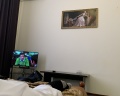 Lazar: отзыв от Евгений Перепелкин