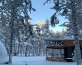 New Camp: отзыв от Городской житель