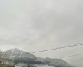 Вальс цветов Редэнс: отзыв от Эльвира Ш.