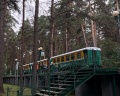 Заельцовский парк: отзыв от Полина Сонхуновна