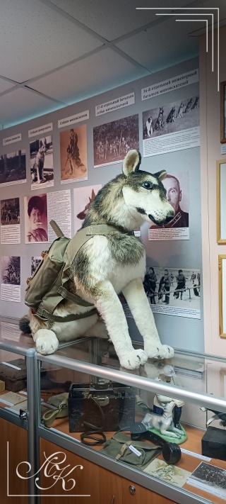 The Museum of Dogs" Science and Cultural Center - Private Museums of Russia